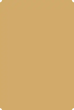 Brown Rectangle - simple - rectangle - No Watermark PNG