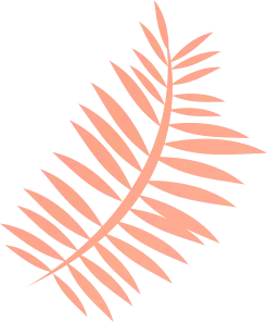 Palm Leaf - High Quality PNG - Highly Rated PNG