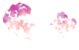 Purple Flowers - High Resolution PNG