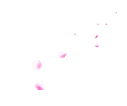 Pink Flowers - nature - Designer's Pick PNG