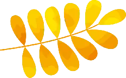 Autumn Leaf - gradient - abstract - Transparent Layer PNG