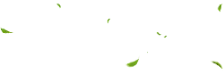 Green Leaves - background - falling - No Background PNG
