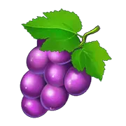 Grape - juicy - sweet - PNG