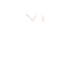 Jumping Shadow - jumping - PNG