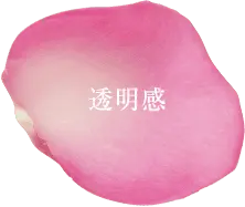 Transparency - petal - No Watermark PNG