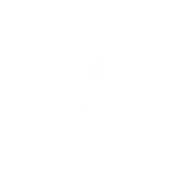 Red Flowers - bloom - nature - No Watermark PNG