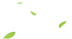Falling Leaves - Transparent Background PNG - leaves