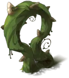 Vine Plant - nature - art - No Background PNG