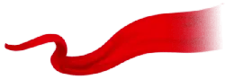 Red Ribbon - ribbon - design - No Watermark PNG