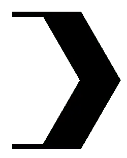 nocturnal - Black Owl - No Background PNG
