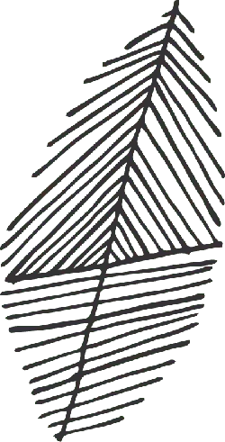 Feather - black background - lightweight - Transparent Background PNG
