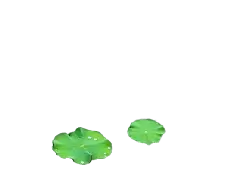 Lotus Leaf - water - Trending PNG