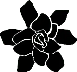 Flower - nature - abstract - Free Download PNG