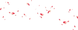 Pink Petals Falling - fall - pink - Free PNG