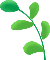 Green Plant - green - leaves - PNG Images