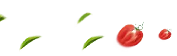 Tomato and Leaves - green - High Resolution PNG