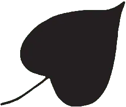 Leaf - green - Designer's Pick PNG