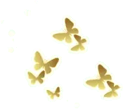 Butterfly - nature - yellow - PNG