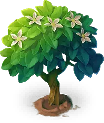 Blooming Tree - plant - High Resolution PNG