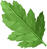 Arachniodes simplicior - green - No Watermark PNG