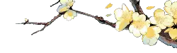 Plum Blossom Branch - nature - plant - PNG