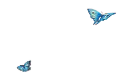 Blue Butterfly - beautiful - Transparent Layer PNG