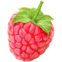 Raspberry - sweet - Free for Commercial Use PNG