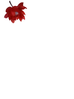 Red Flower - flower - Highly Rated PNG