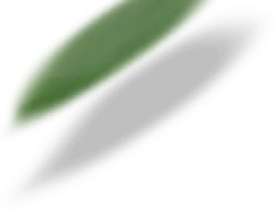 Unknown Object - green - irregular shape - No Background PNG