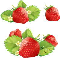 Strawberry - No Watermark PNG - fresh - Pic 1