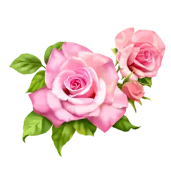 Pink Rose - Recommended PNG - Free Download PNG
