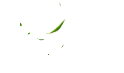 Flying Leaves - art - Lossless PNG