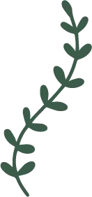 Green Vine - Designer Recommended PNG