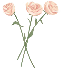 Three Pink Roses - nature - Free PNG