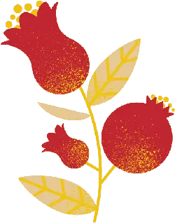 Pomegranate Flower - yellow - No Background PNG