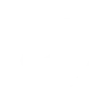 Shield - graphic - No Background PNG