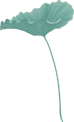 Lotus Leaf - leaf - Designer Recommended PNG