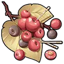 Cherry - eatable - tree fruit - High Resolution PNG