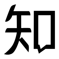 Black Owl - Fast Download PNG - bird - Pic 6
