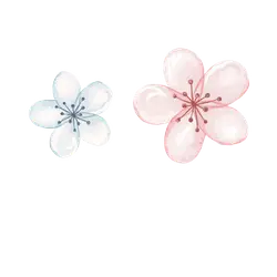 Cherry Blossom - white - Free PNG