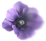 Purple Flower - nature - colorful - Transparent Layer PNG