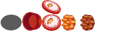 Candy Box - decoration - High Resolution PNG