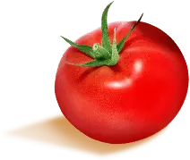 Tomato - circular - vegetable - High Resolution PNG