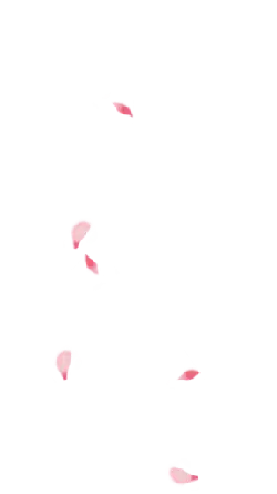 Pink Petals - Designer's Pick PNG - Recommended PNG