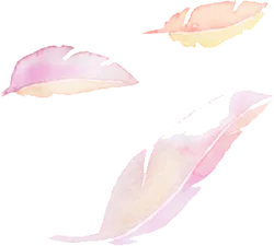 Feather - pink - Free Download PNG