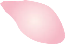 Pink Irregular Shape - PNG