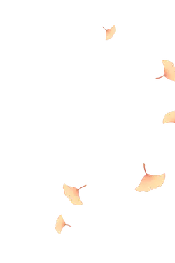 Ginkgo Leaf - falling - High Resolution PNG