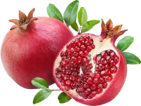 Pomegranate - PNG Images - red