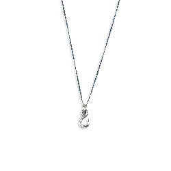 Silver Necklace - elegant - High Resolution PNG