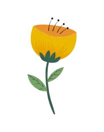 Yellow Flower - plant - design - No Watermark PNG